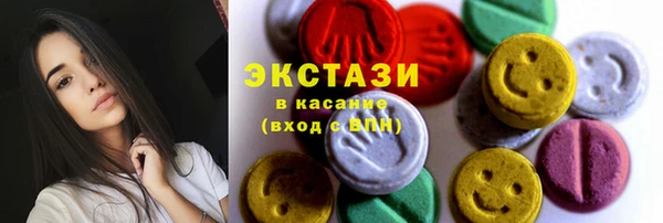 мдпв Богородск