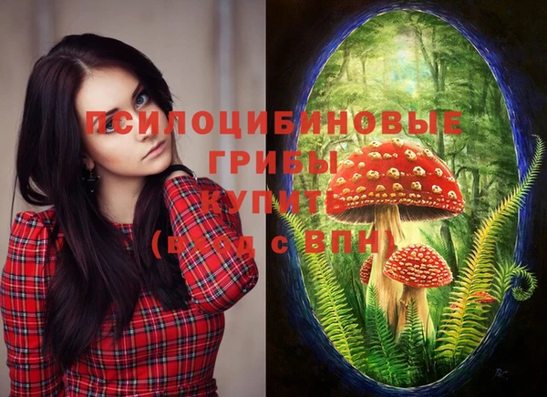 соль ск Белокуриха
