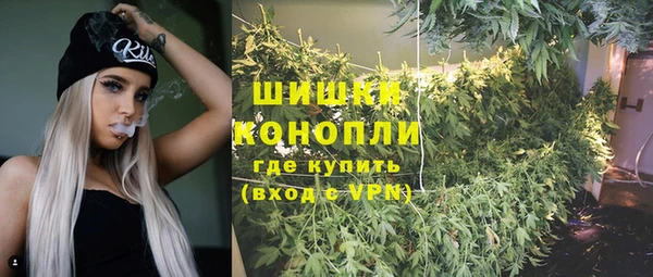 дживик Белоозёрский