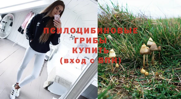 дживик Белоозёрский