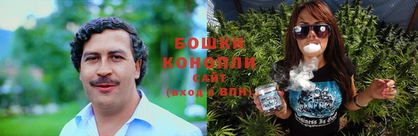 соль ск Белокуриха