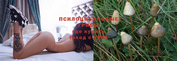соль ск Белокуриха
