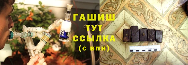 соль ск Белокуриха